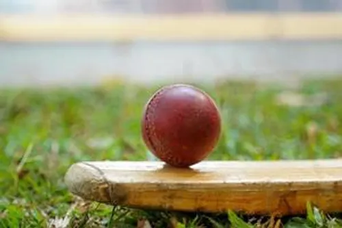 Cricket Mission